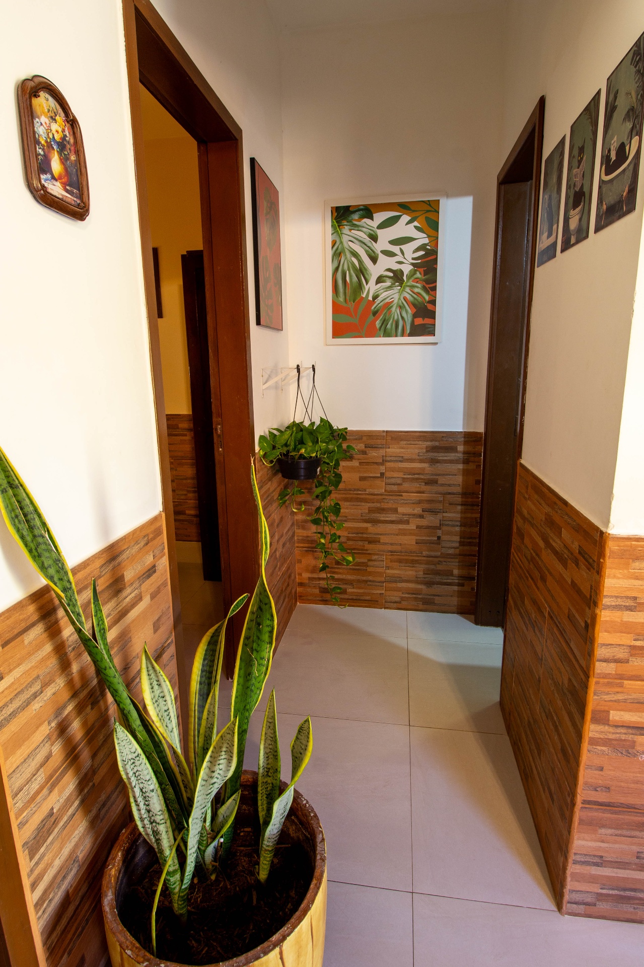 Casinha Canoa 6